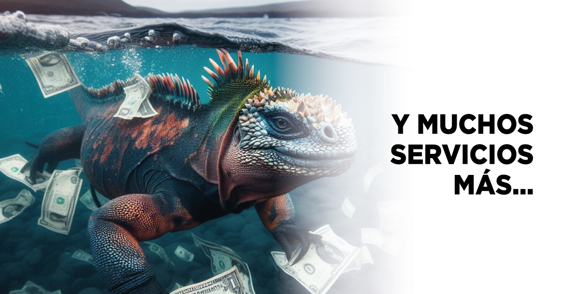 Imagen-4